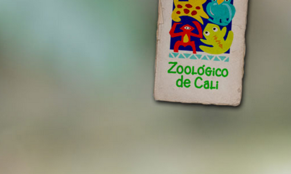 Zoologico de Calí