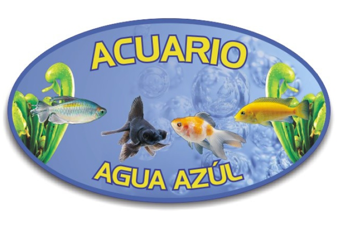 Acuario Agua Azul