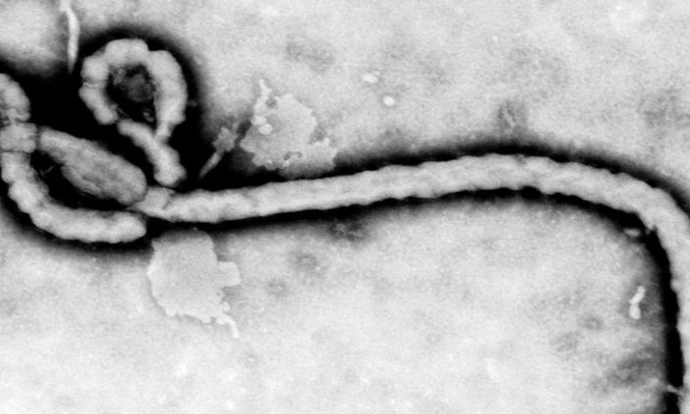 ¿Existe riesgo de que el ébola llegue a Colombia?