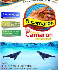 Ricamaron