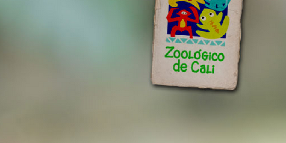 Zoologico de Calí